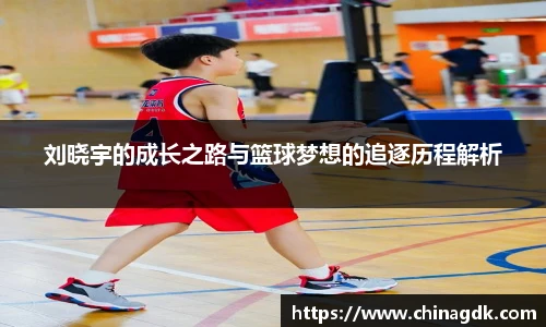 B体育bsports