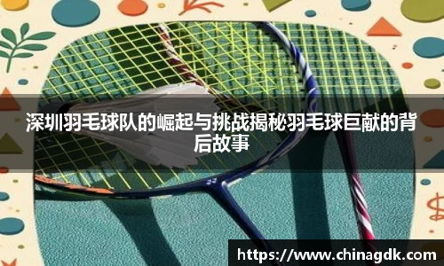 深圳羽毛球队的崛起与挑战揭秘羽毛球巨献的背后故事